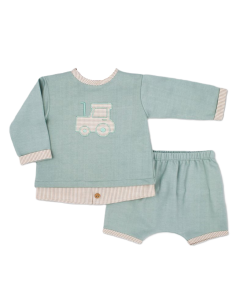 Rapife Boys Green & And Beige Gingham Top And Shorts Set WS25