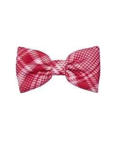 A Dee 'Leighton' Red Check Hairbow WS25